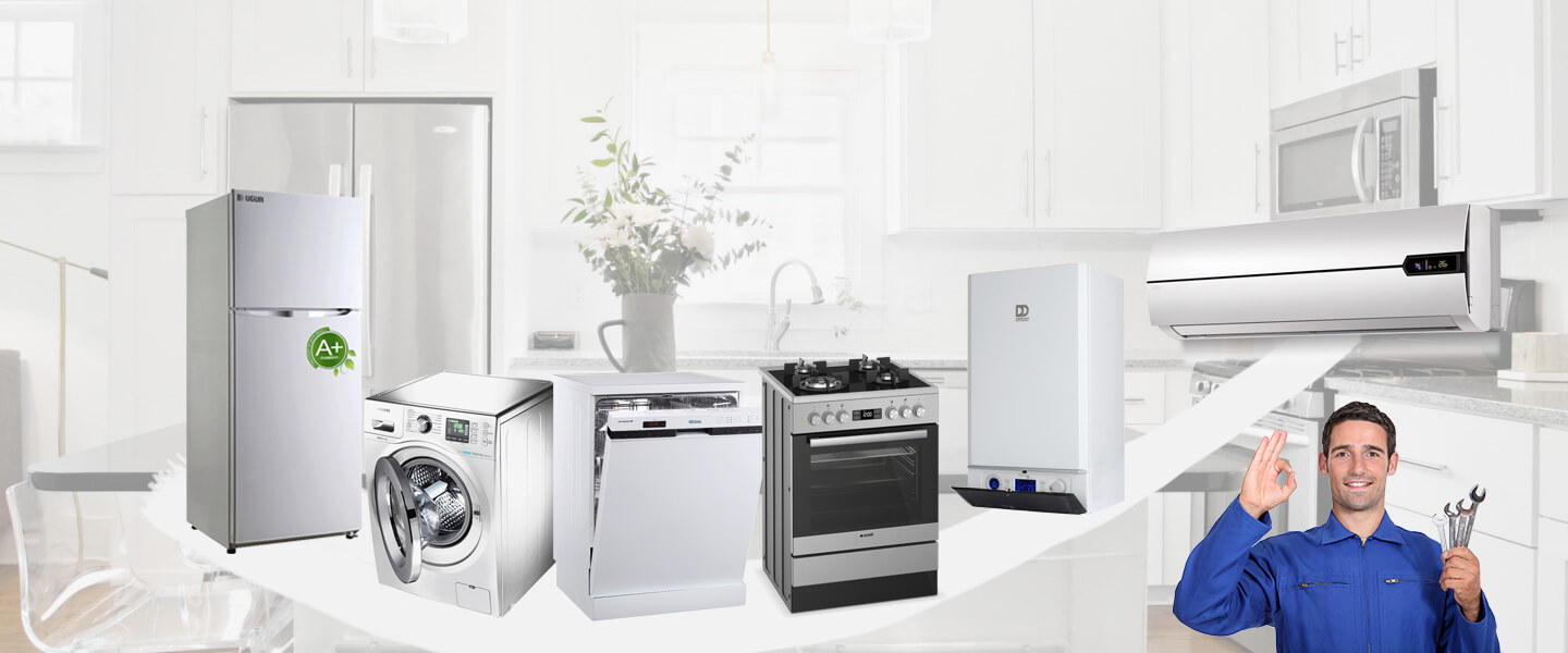 Tercan Dominox Servisi
